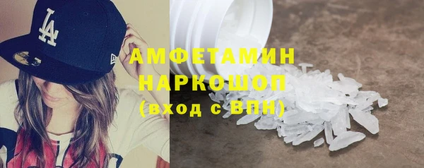 ГАЛЛЮЦИНОГЕННЫЕ ГРИБЫ Корсаков