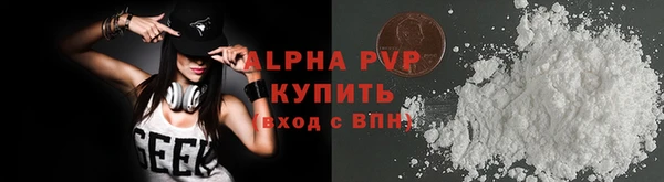 ГАЛЛЮЦИНОГЕННЫЕ ГРИБЫ Корсаков