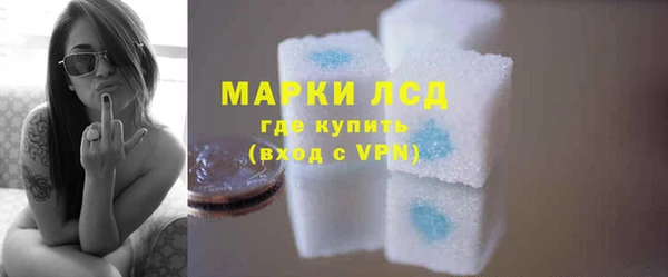 ГАЛЛЮЦИНОГЕННЫЕ ГРИБЫ Корсаков