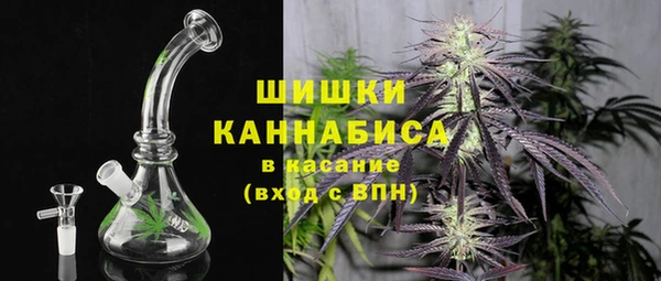 ГАЛЛЮЦИНОГЕННЫЕ ГРИБЫ Корсаков