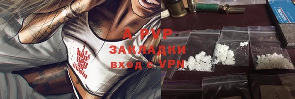 ГАЛЛЮЦИНОГЕННЫЕ ГРИБЫ Корсаков